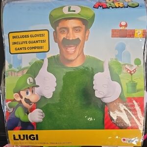 Disguise Luigi Costume Set
